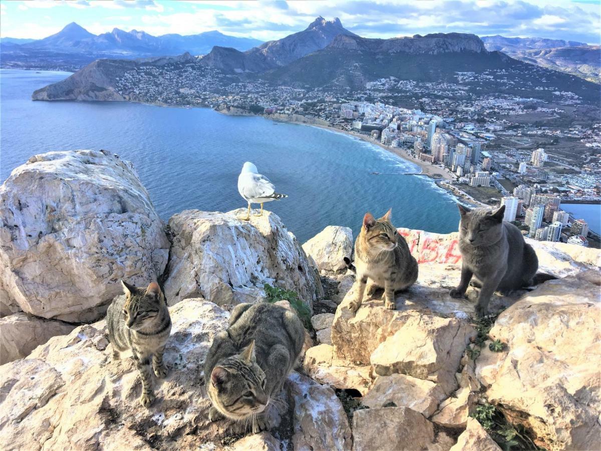Villa Esmeralda Altea la Vieja Kültér fotó